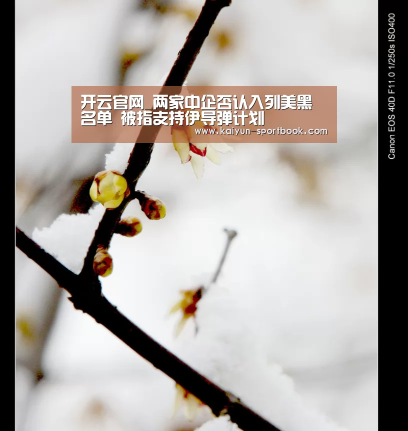 开云官网_两家中企否认入列美黑名单 被指支持伊导弹计划(图2) 开云竞技