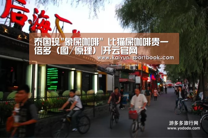 泰国现象屎咖啡 比猫屎咖啡贵一倍多(图/原理)|开云官网(图4) 开云官网