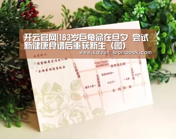 开云官网
