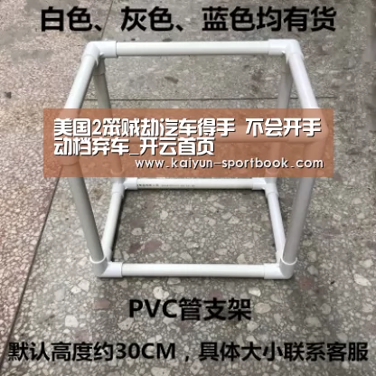 美国2笨贼劫汽车得手 不会开手动档弃车_开云首页(图2) 开云竞技