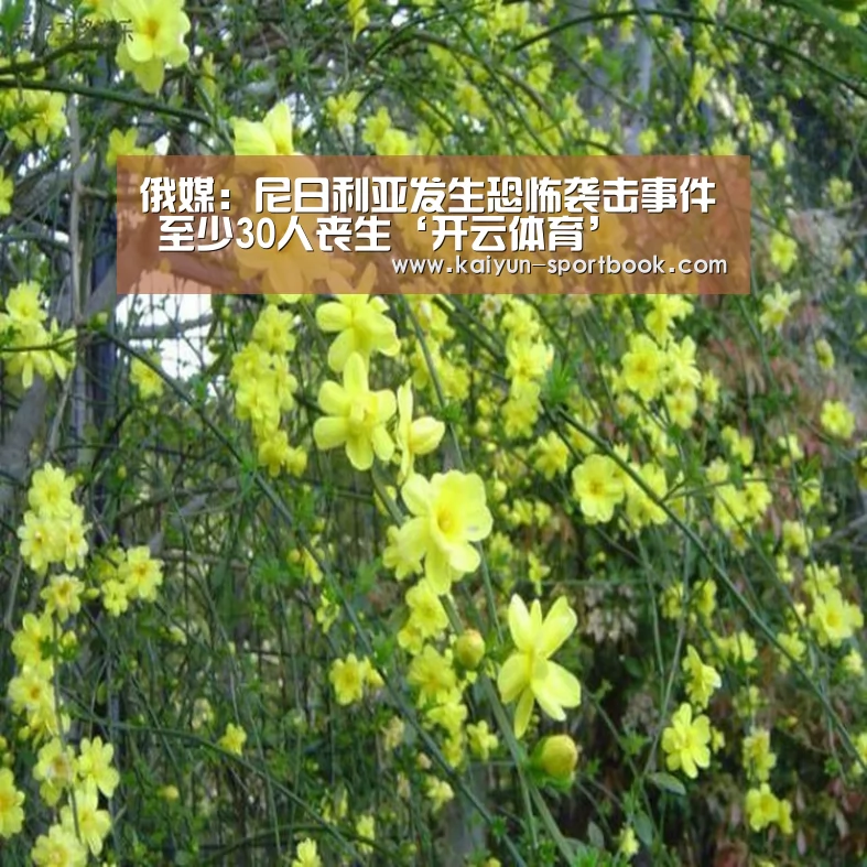 开云官网