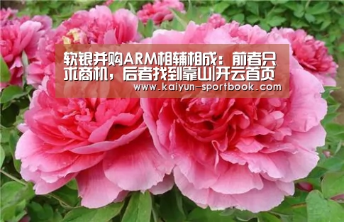 软银并购ARM相辅相成:前者只求商机,后者找到靠山|开云首页(图3) 开云官网